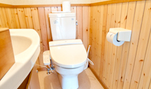 toilet